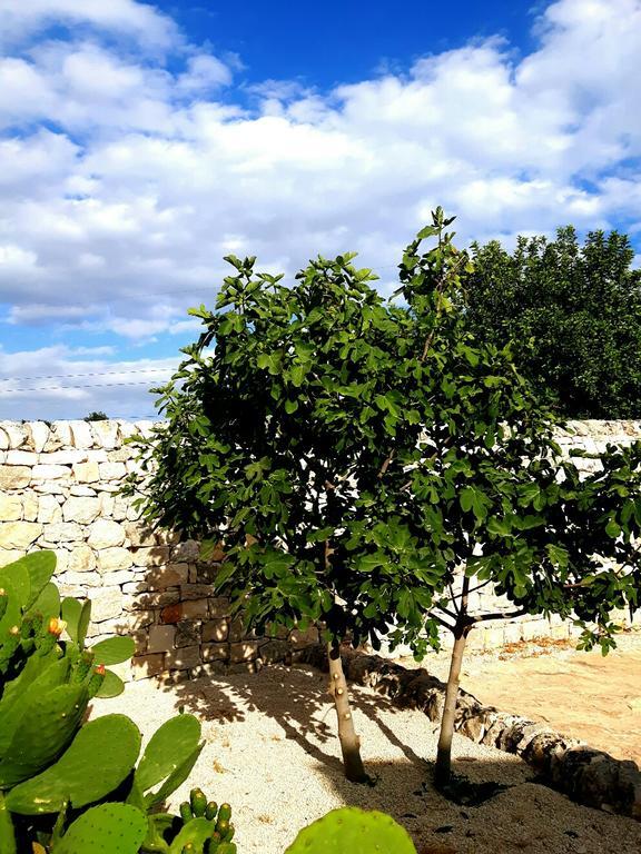 Masseria Ciancio Casa Serrafiori Kültér fotó